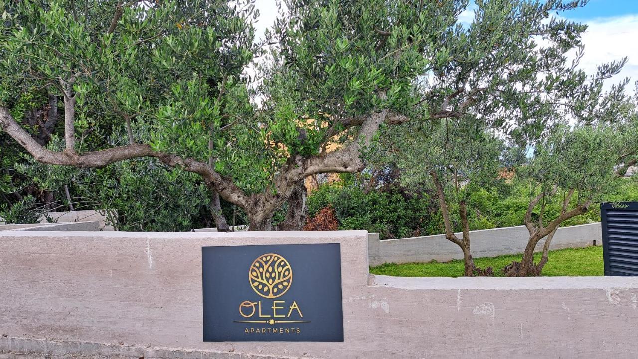 Olea Apartments 特罗吉尔 外观 照片